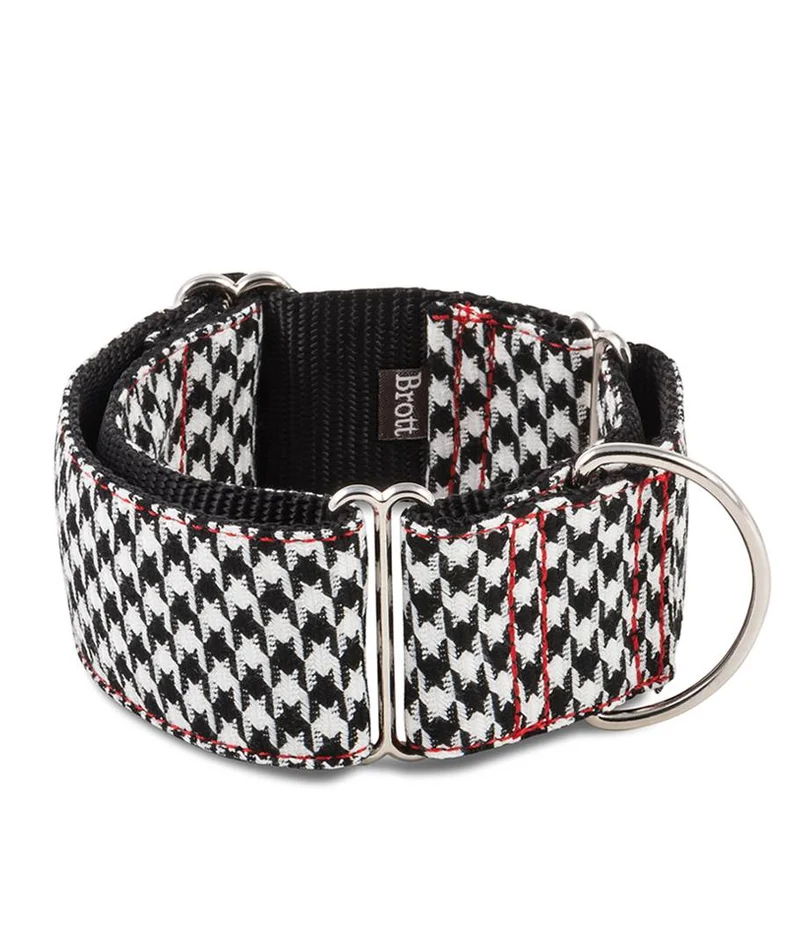 Collier pour chien Ribes