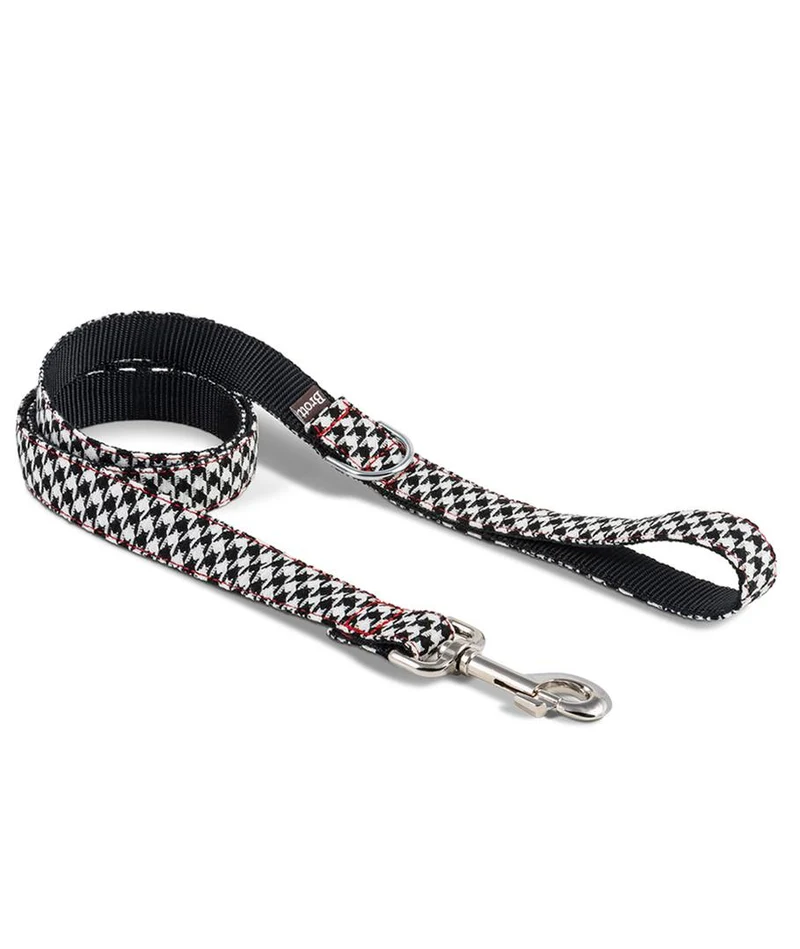 Laisse pour chien Ribes