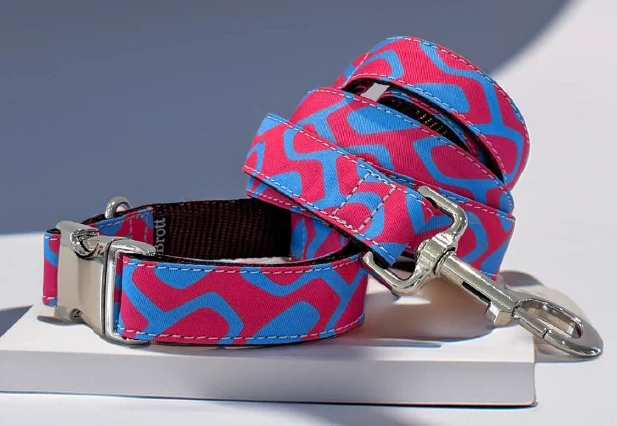 Laisse pour chien Ceret