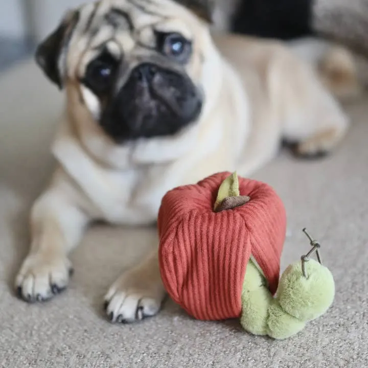 Jouet d’intelligence pour chien – Pomme et Chenille