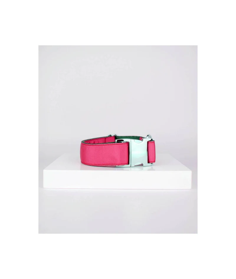 Collier pour chien Strawberry