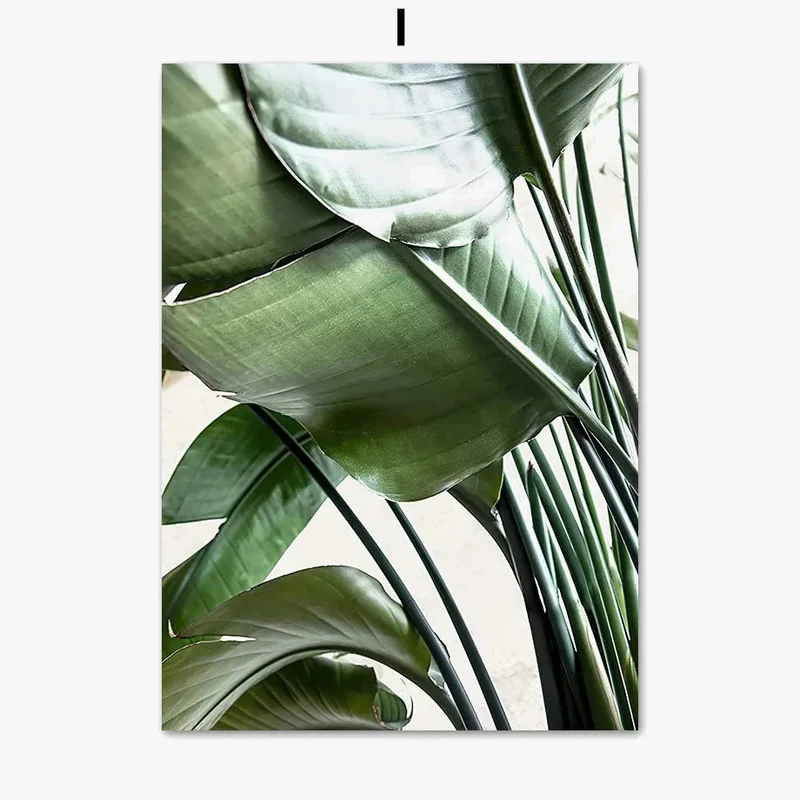 toile décorative avec feuilles de monstera pour intérieur