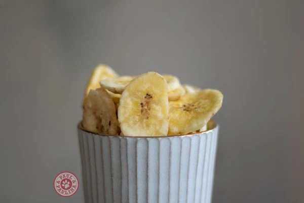 Chips de banane séchée pour chien