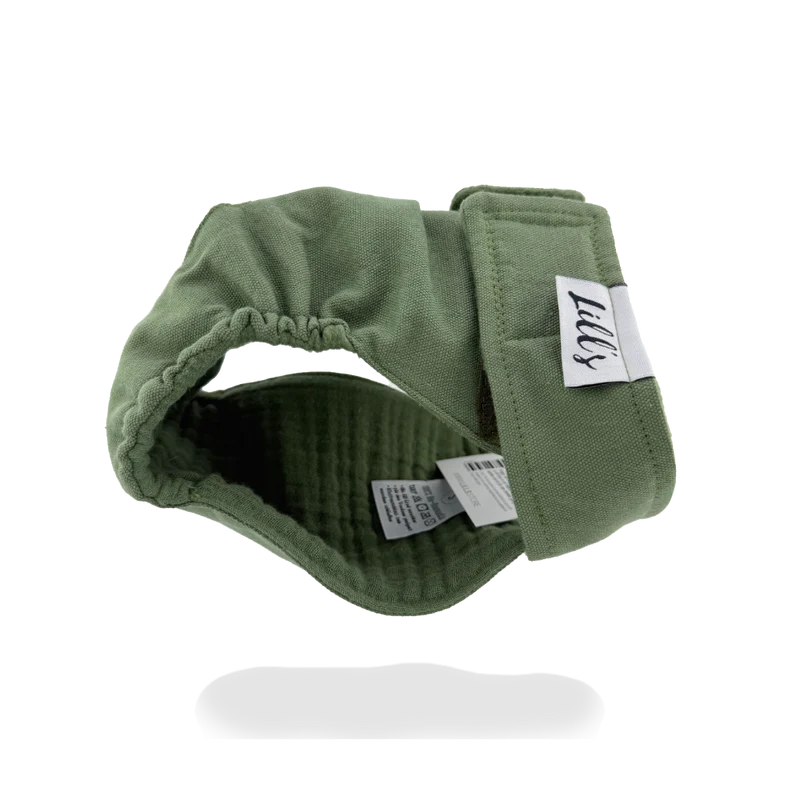 Culotte de chaleurs pour chienne en coton bio