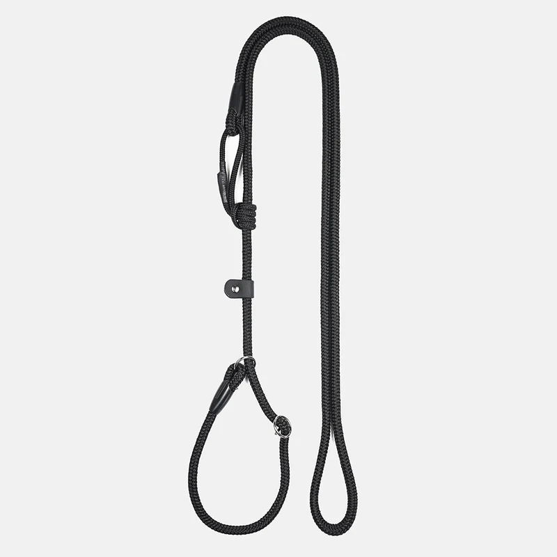 Laisse pour chien lasso extensible en corde