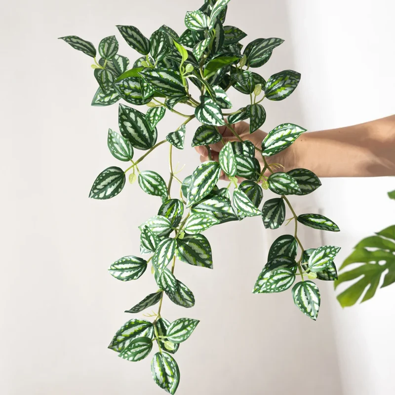 plante artificielle suspendue scindapsus aureus décoration intérieure et extérieure