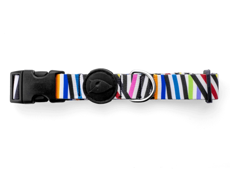 Collier pour chien Spaghetti