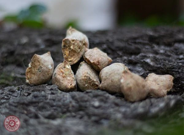 Friandises pour chiens au beurre de cacahuète “Minis”