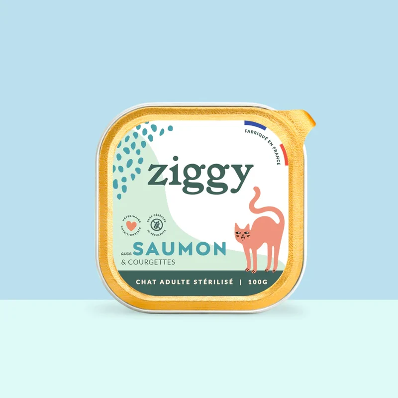 Pâtée Chat Adulte Stérilisé avec du saumon Ziggy