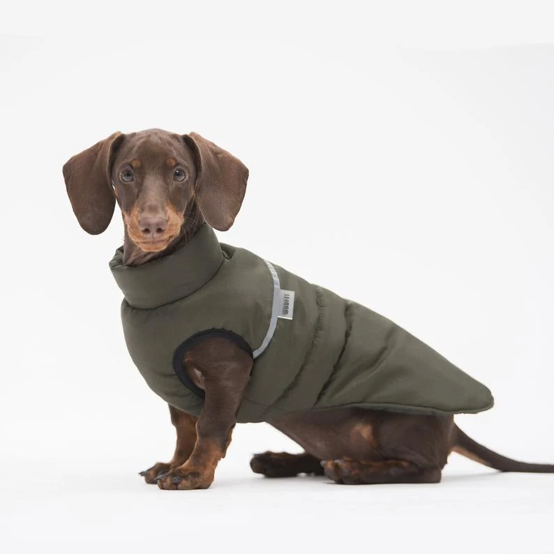 Doudoune pour chien