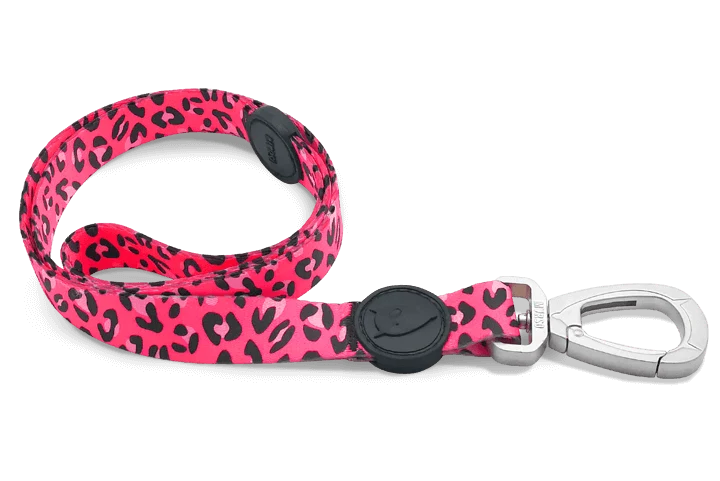 Laisse Bubble Leo