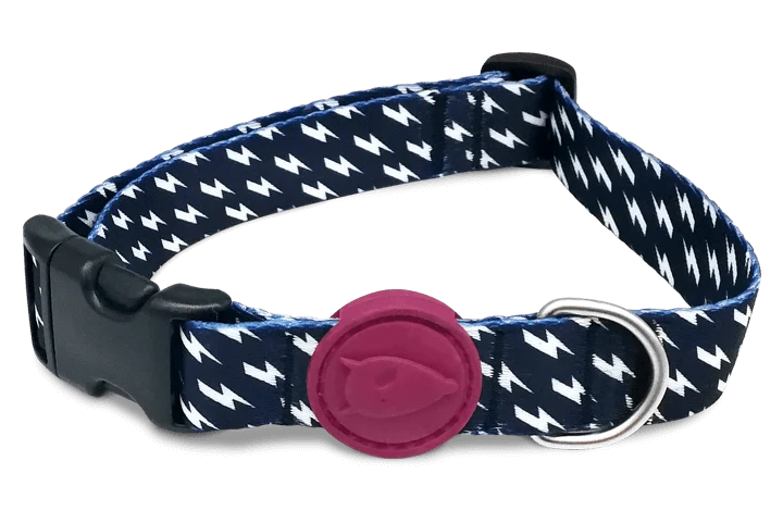 Collier pour chien Power Flow
