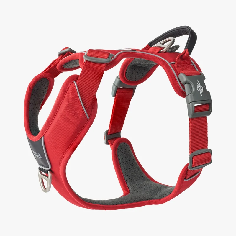 Harnais pour chien Dog Copenhagen Comfort Walk Pro
