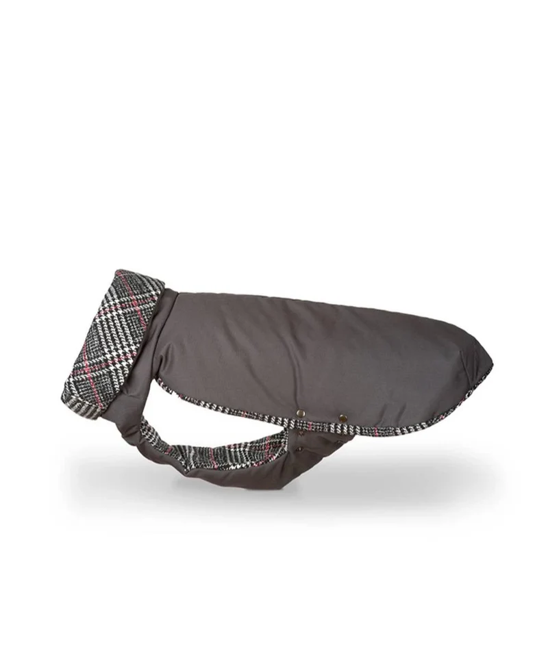 Manteau d'hiver pour lévriers