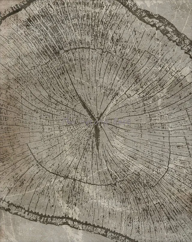 affiches abstraites sur les anneaux des arbres pour décoration